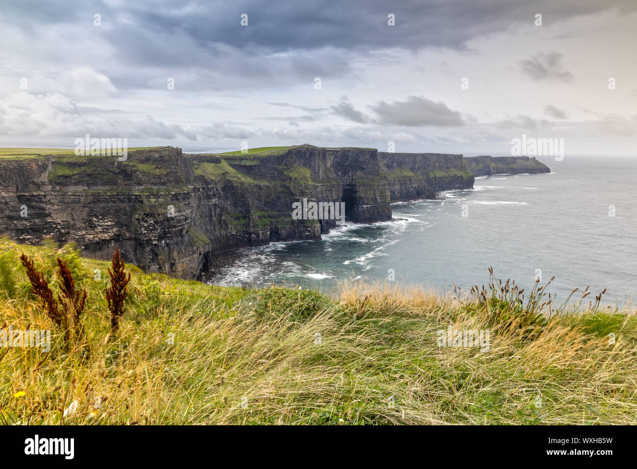 Die Cliffs of Moher in Irland Stockfoto