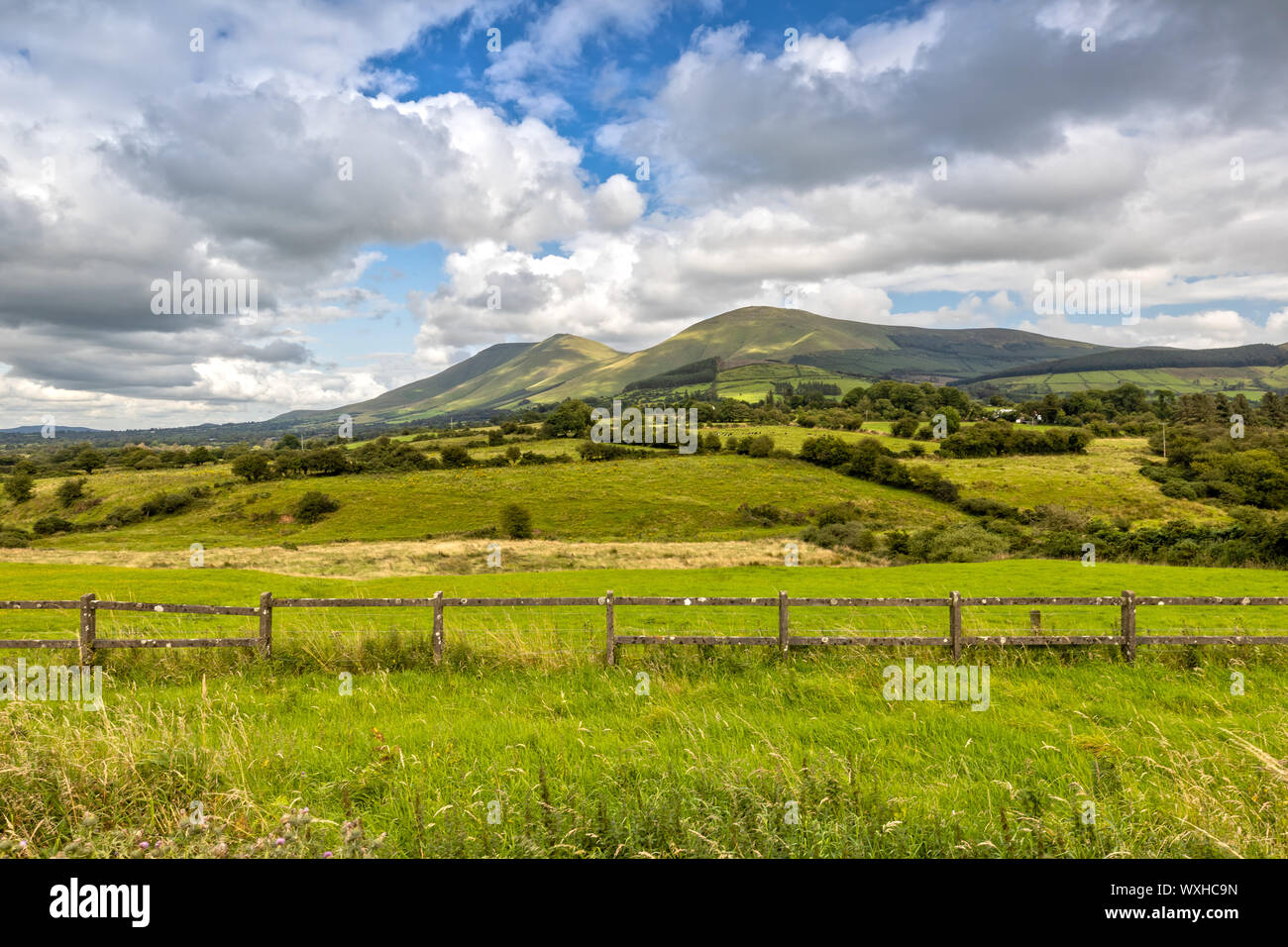 Einen eindrucksvollen Ausblick über die Galtymore Berg in County Tipperary in Irland Stockfoto