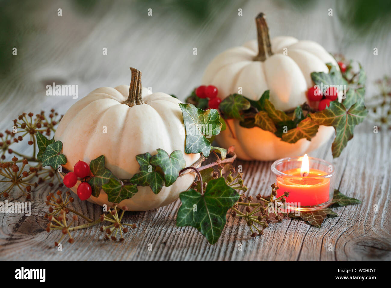 glckskastanie bringt glck Glckskastanie Knstliche kaufen