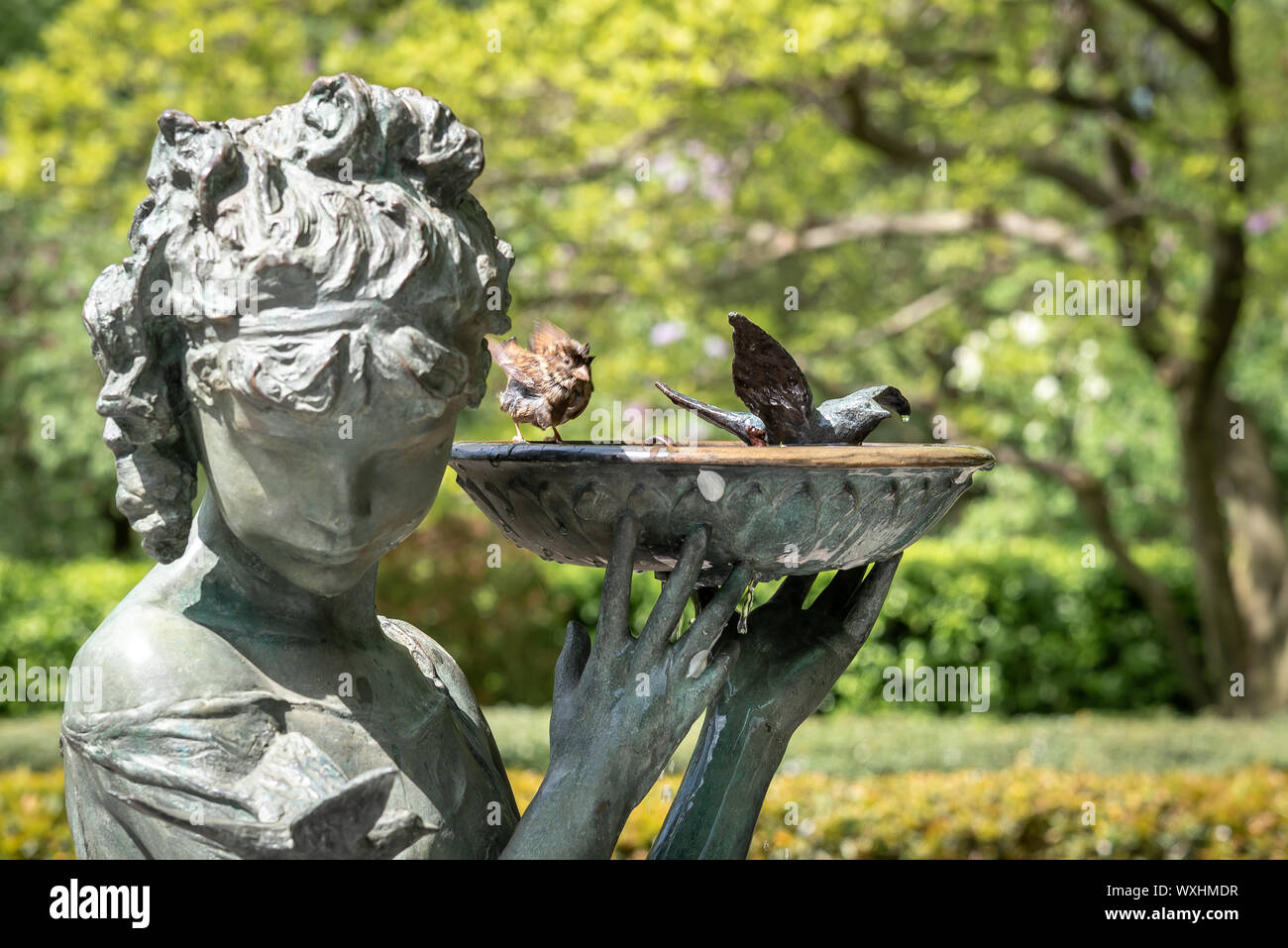 Nahaufnahme der Burnett Brunnen im Central Park, mit echten Vögeln erfrischenden im Bug. Buchen Sie die Statue ehrt Kinder Thema Frances Eliza H Stockfoto
