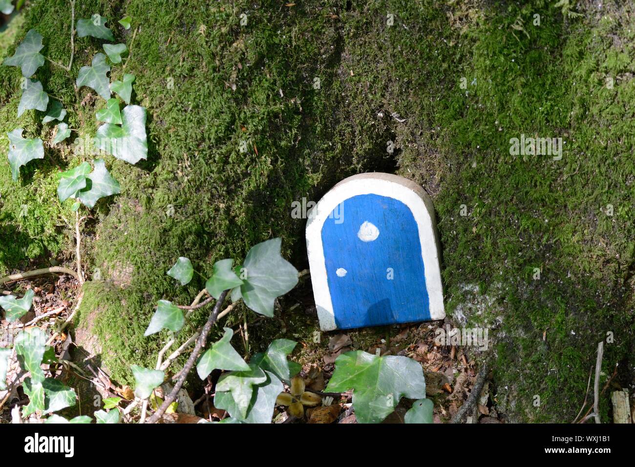 Blau lackiert Fee Tür auf einem Bemoosten Baumstamm im Wald Wald Stockfoto