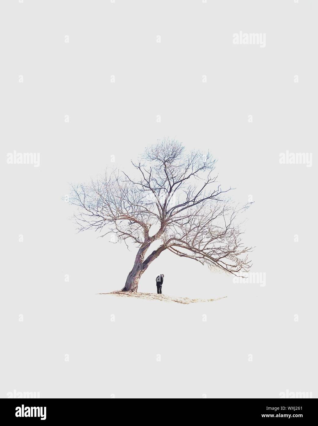 Mann stand unter einem Baum, Südkorea Stockfoto