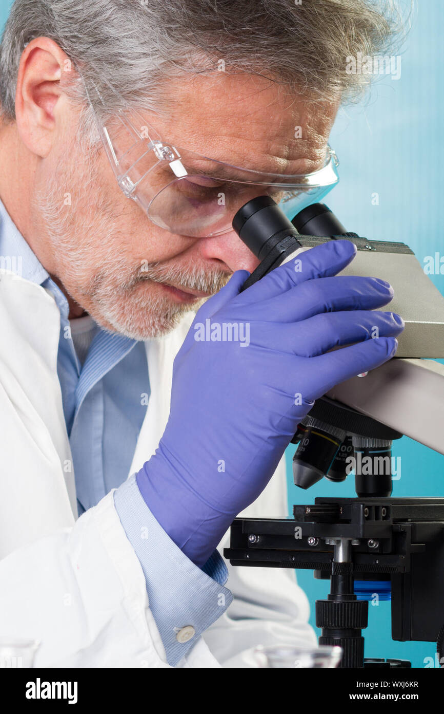 Fokussierte senior life science professionelle Routine screening das Mikroskop in der Zelle Labor Folien. Fokus auf das Gesicht des Forschers. Stockfoto