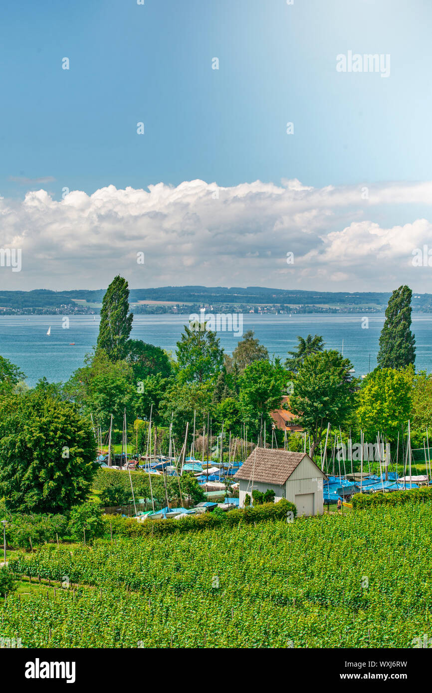 Curtural Landschaft mit Obstplantage in der Nähe von Hagnau am Bodensee (Deutschland) Stockfoto