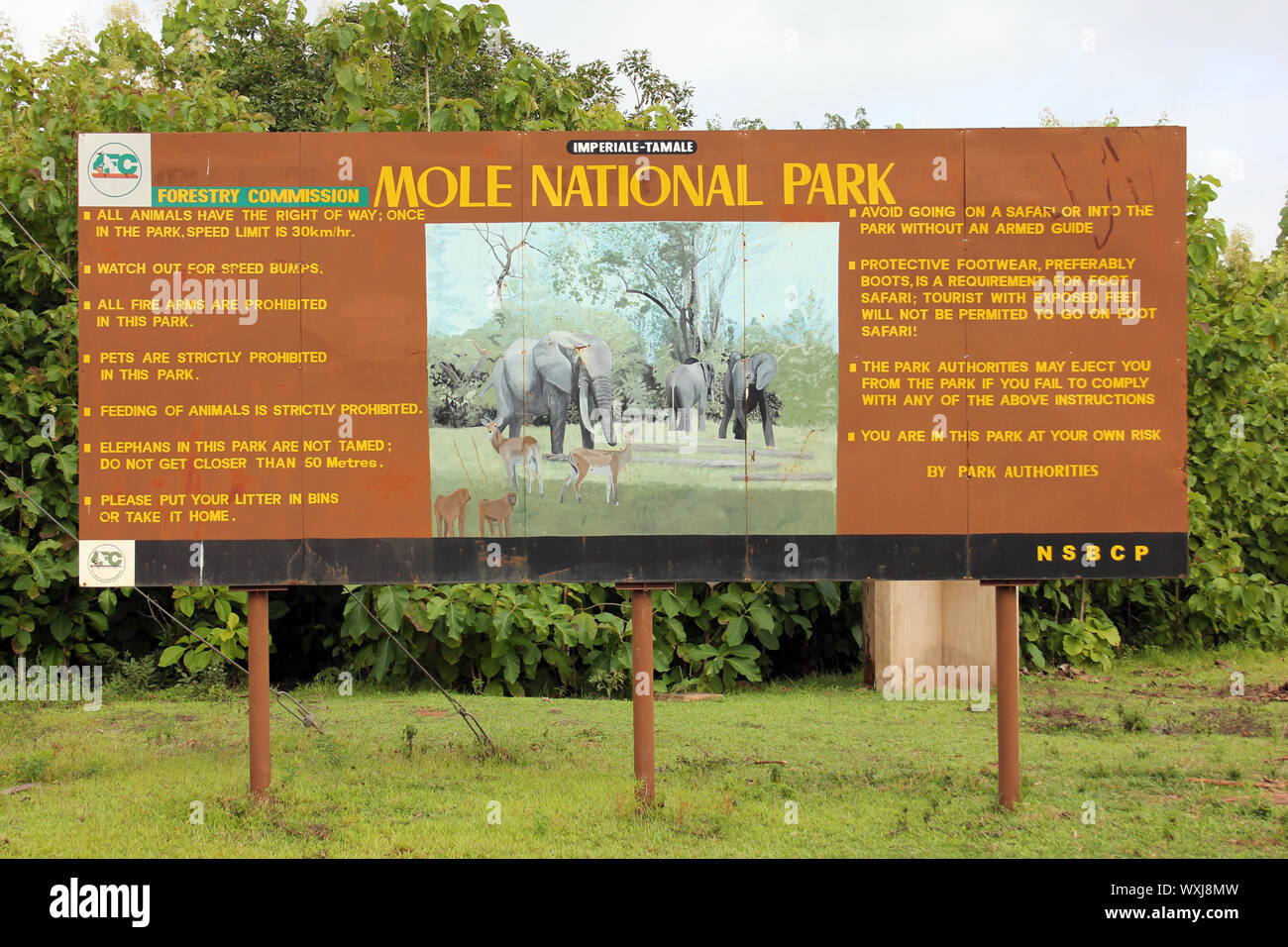 Mole National Park anmelden, Ghana Stockfoto