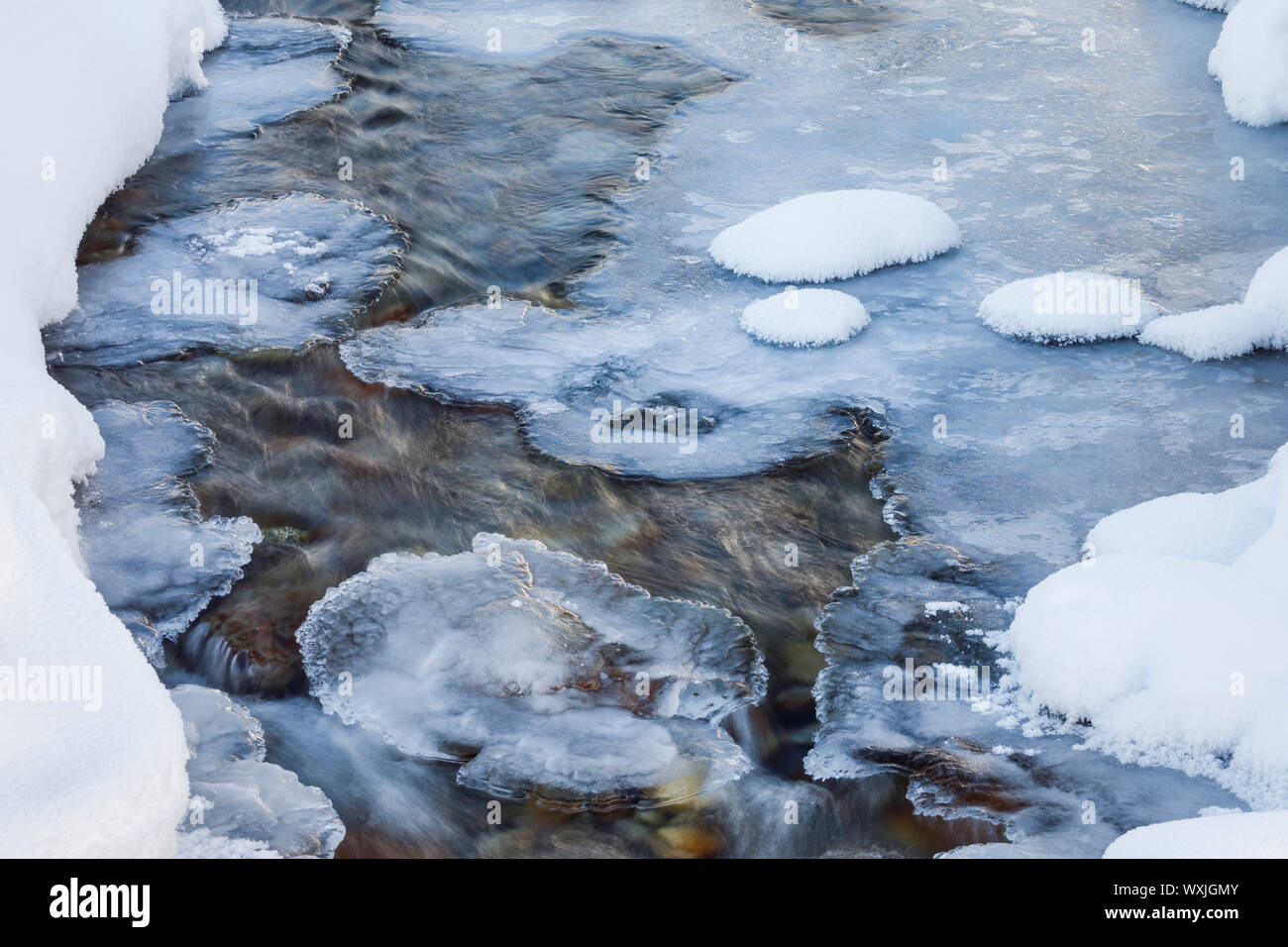 Icy stream. Schweiz Stockfoto