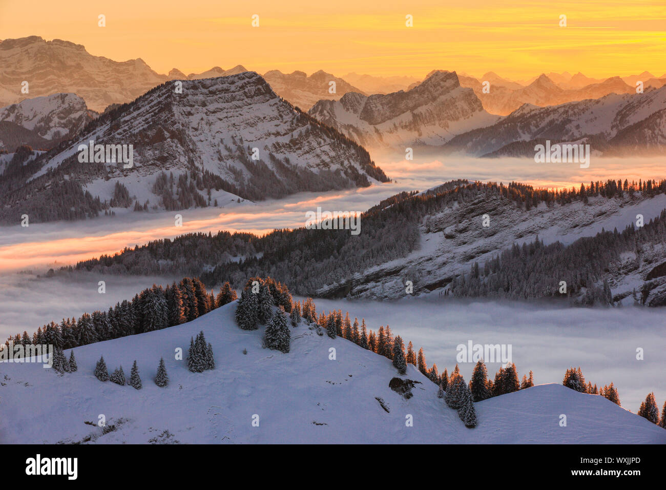 Blick vom Berg Kronberg am Abend. Appenzell, Schweiz Stockfoto