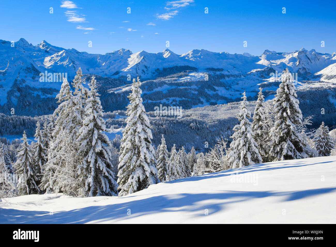Die Schwyzer Alpen der Zentralschweiz in der Nähe der Bergen Mythen. Schweiz Stockfoto