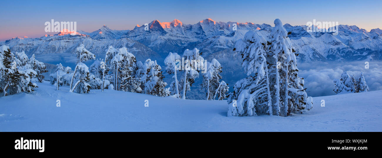 Berner Alpen von der Bergstation Niederhorn, Schweiz Stockfoto
