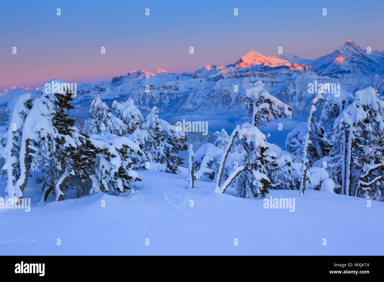 Berner Alpen von der Bergstation Niederhorn, Schweiz Stockfoto