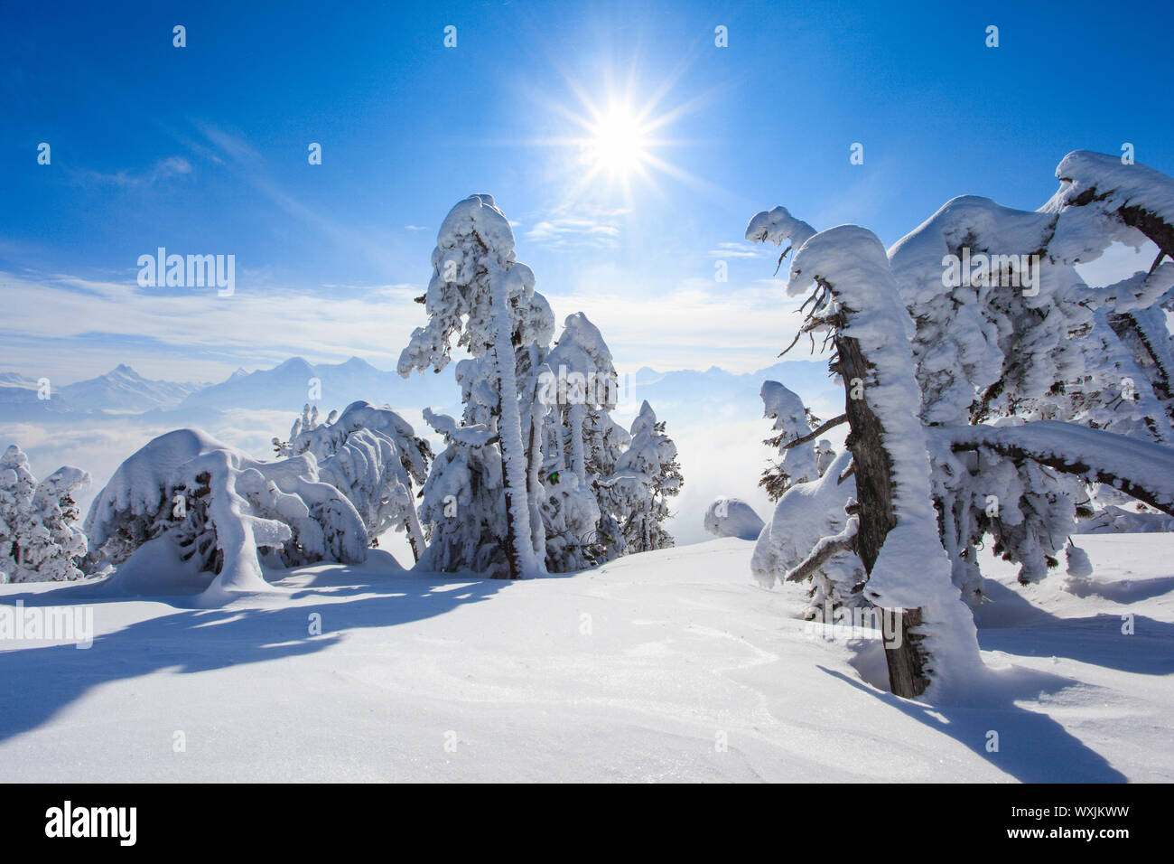 Berner Alpen von der Bergstation Niederhorn, Schweiz Stockfoto