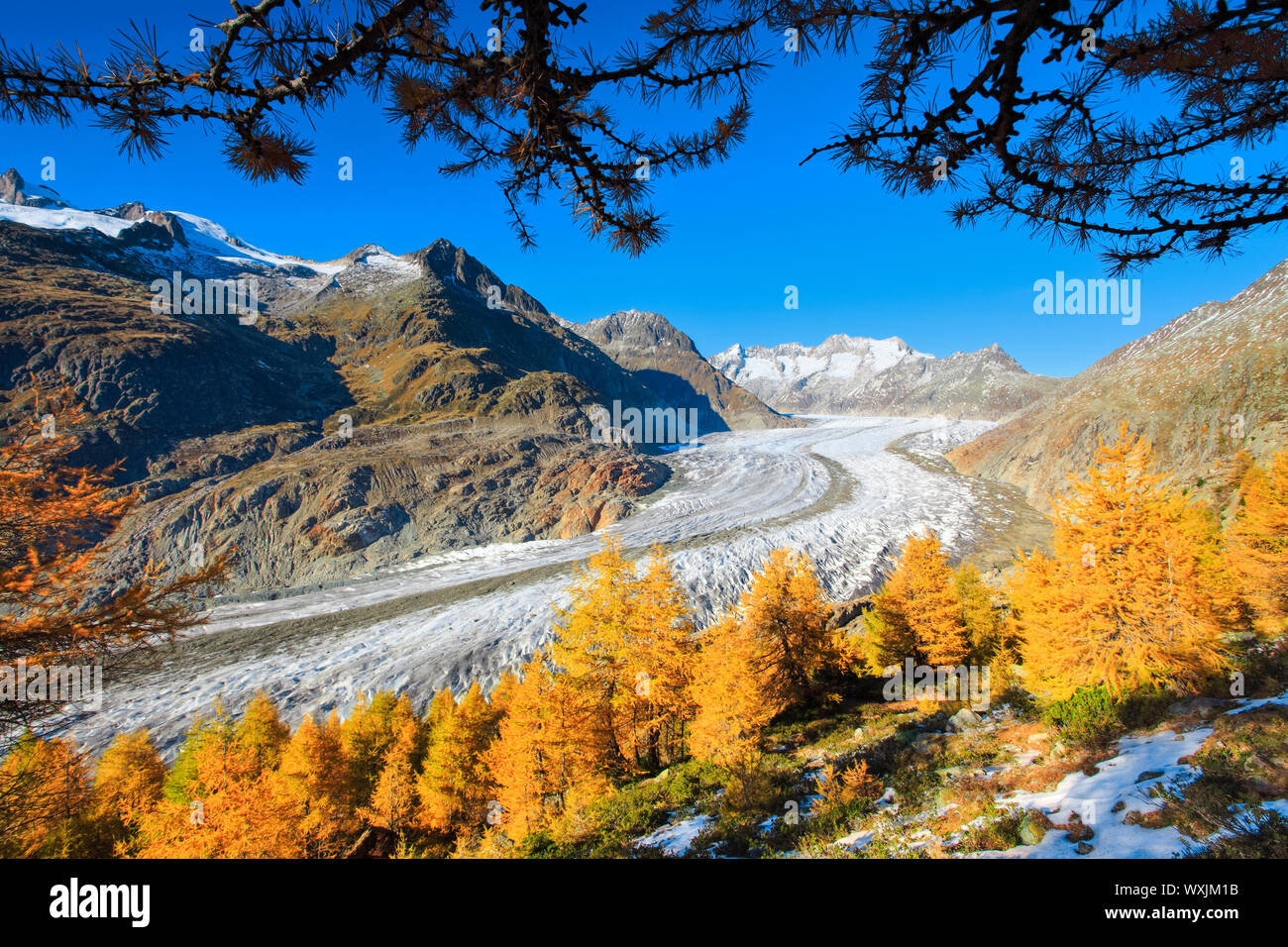 Die Berge Wannenhoerner und Aletschgletscher im Herbst. Wallis, Schweiz Stockfoto