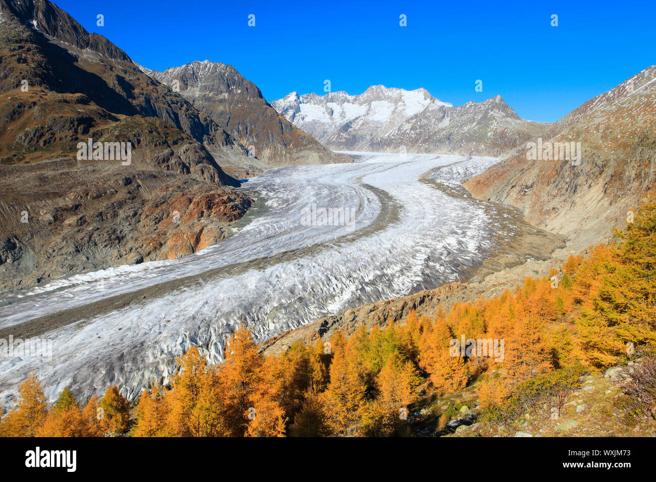 Die Berge Wannenhoerner und Aletschgletscher im Herbst. Wallis, Schweiz Stockfoto