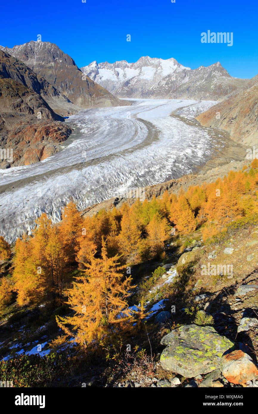 Die Berge Wannenhoerner und Aletschgletscher im Herbst. Wallis, Schweiz Stockfoto