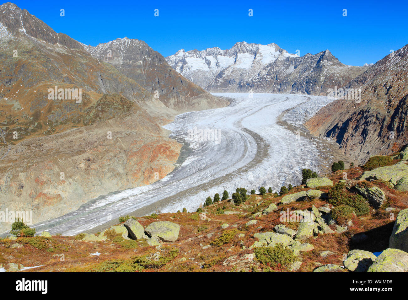 Die Berge Wannenhoerner und Aletschgletscher im Herbst. Wallis, Schweiz Stockfoto