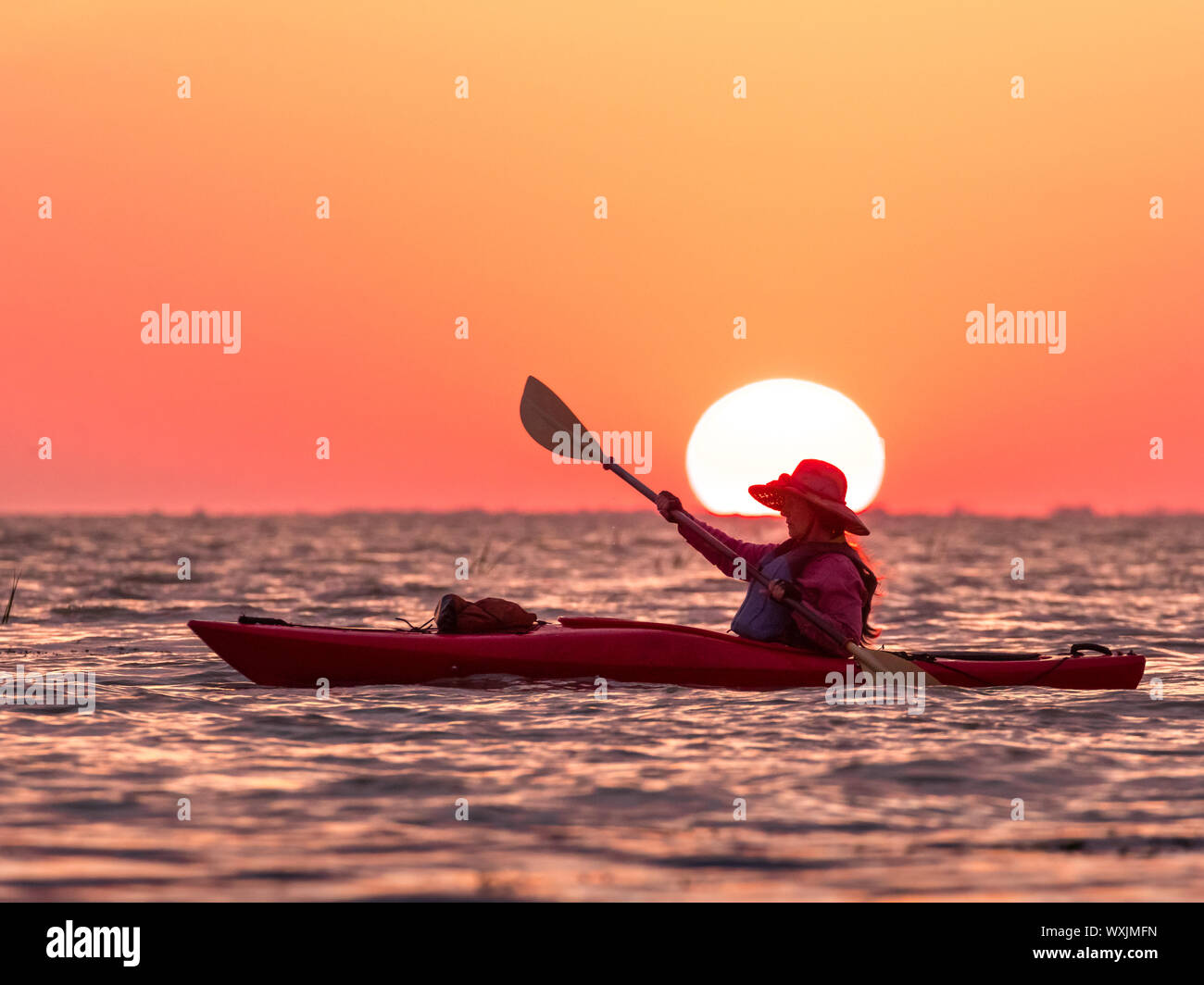 Seitenansicht der Frau in Kajak bei Sonnenaufgang. Frau Paddel gegen Bunte sunrise Himmel mit riesigen Sonne Stockfoto