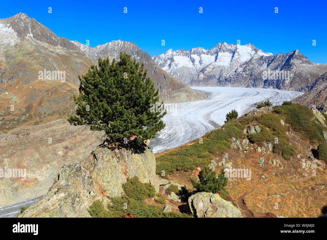 Die Berge Wannenhoerner und Aletschgletscher im Herbst. Wallis, Schweiz Stockfoto