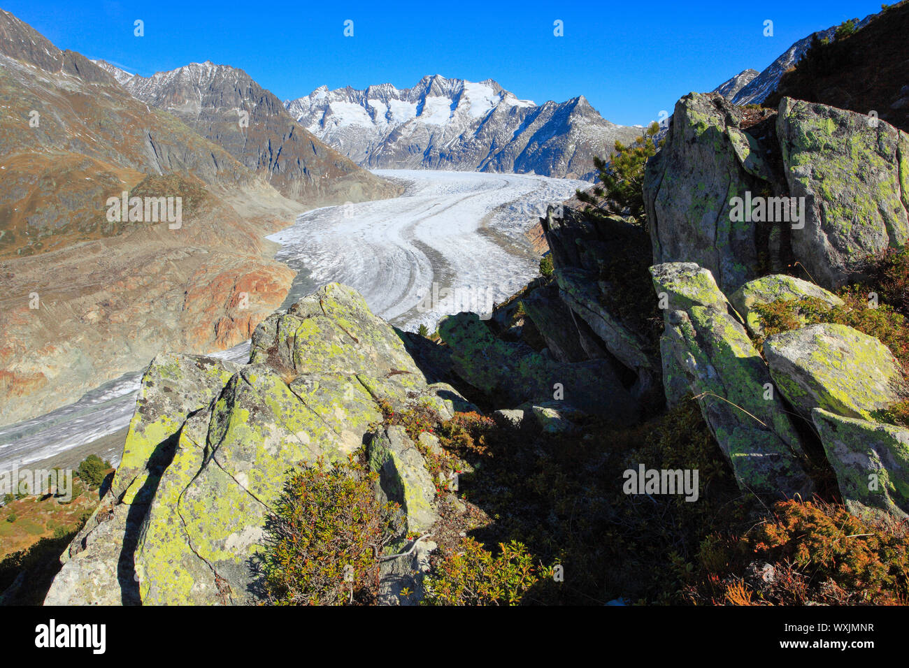 Die Berge Wannenhoerner und Aletschgletscher im Herbst. Wallis, Schweiz Stockfoto