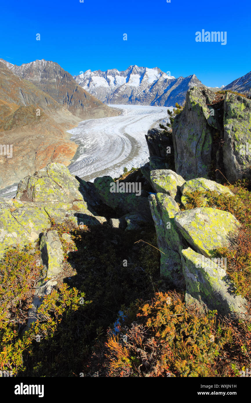 Die Berge Wannenhoerner und Aletschgletscher im Herbst. Wallis, Schweiz Stockfoto