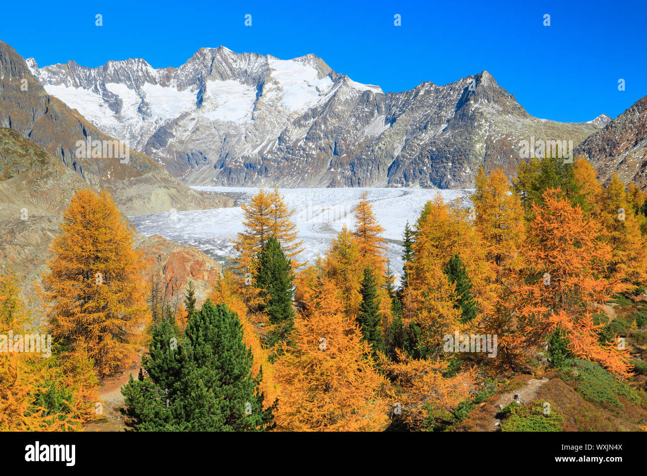Die Berge Wannenhoerner und Aletschgletscher im Herbst. Wallis, Schweiz Stockfoto