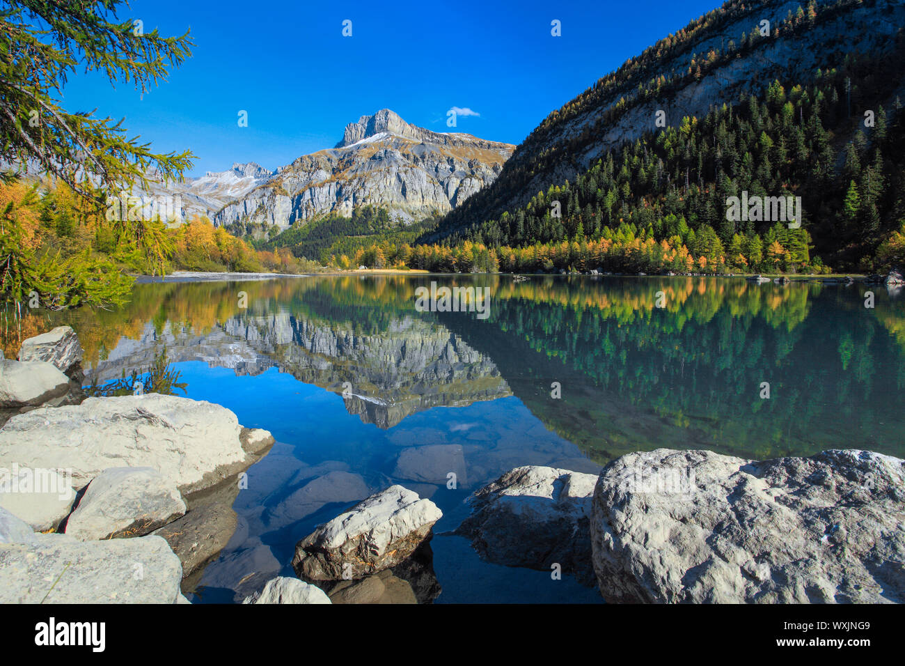 Bergsee Lac de Derborence und der Berg Mont Gond. Wallis, Schweiz Stockfoto