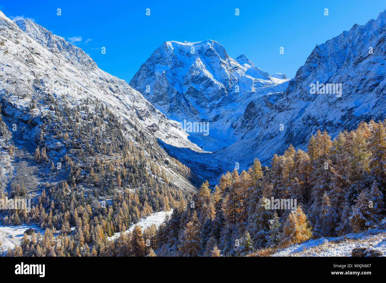 Der Berg Mont Collon (3637 m) im Herbst. Tal von Arolla, Wallis, Schweiz Stockfoto