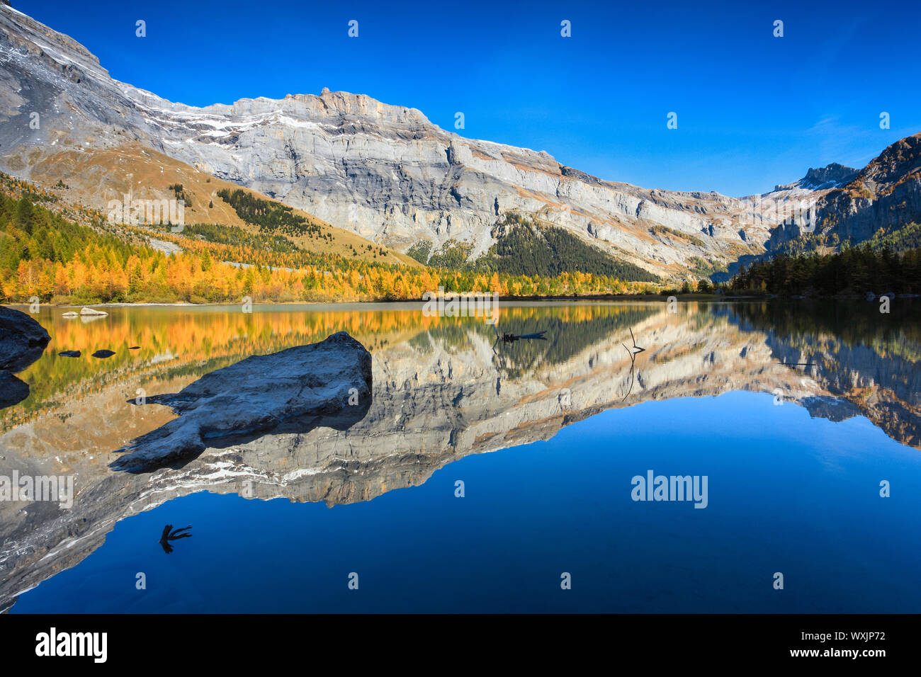 Bergsee Lac de Derborence. Wallis, Schweiz Stockfoto