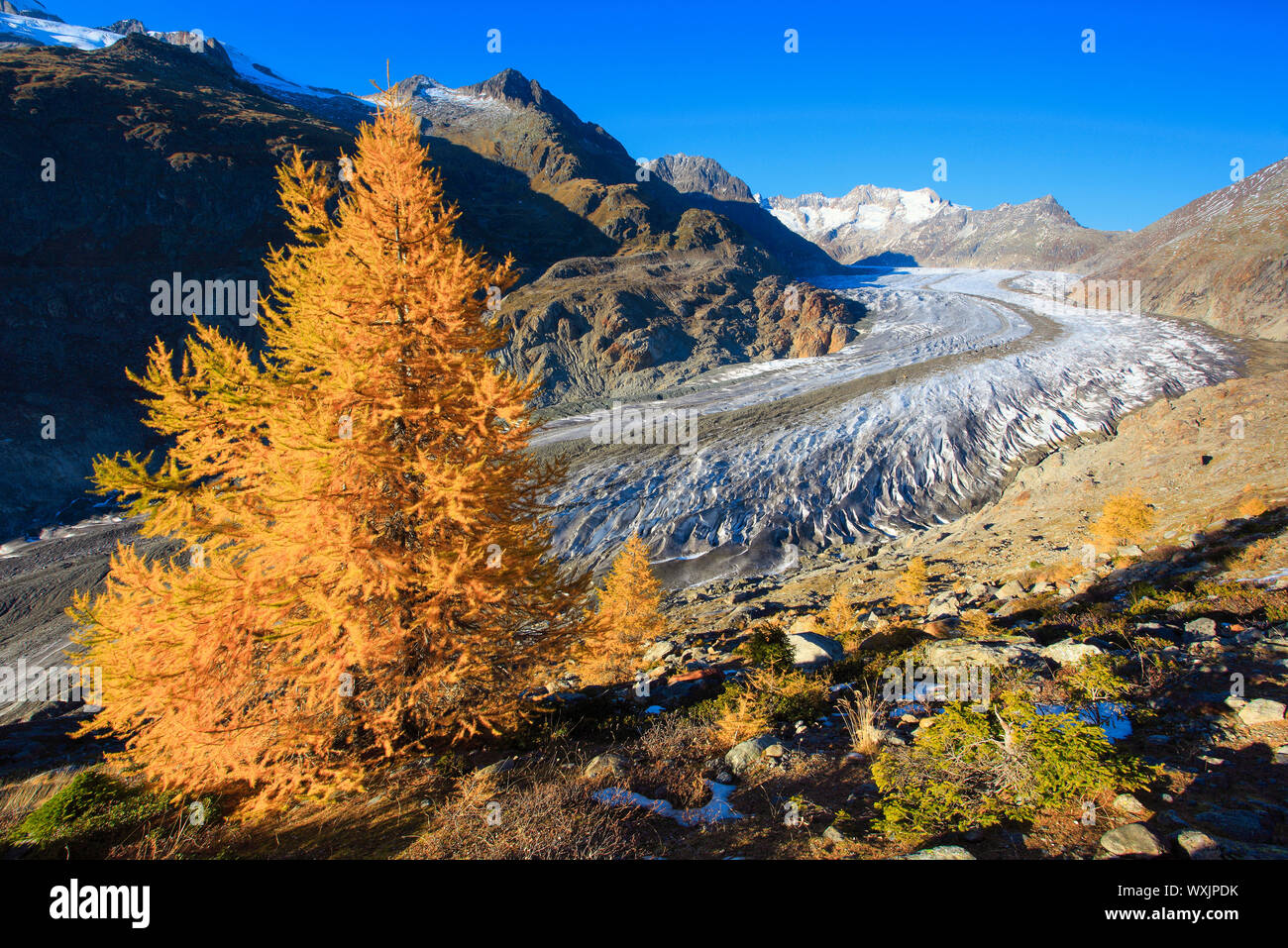 Die Berge Wannenhoerner und Aletschgletscher im Herbst. Wallis, Schweiz Stockfoto