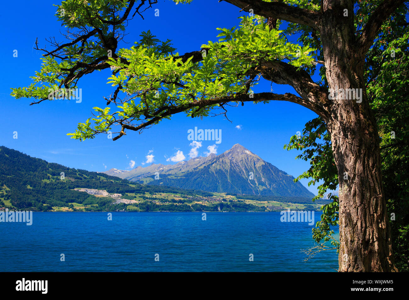 Der Berg Niesen, vom Thunersee gesehen. Berner Alpen, Schweiz Stockfoto