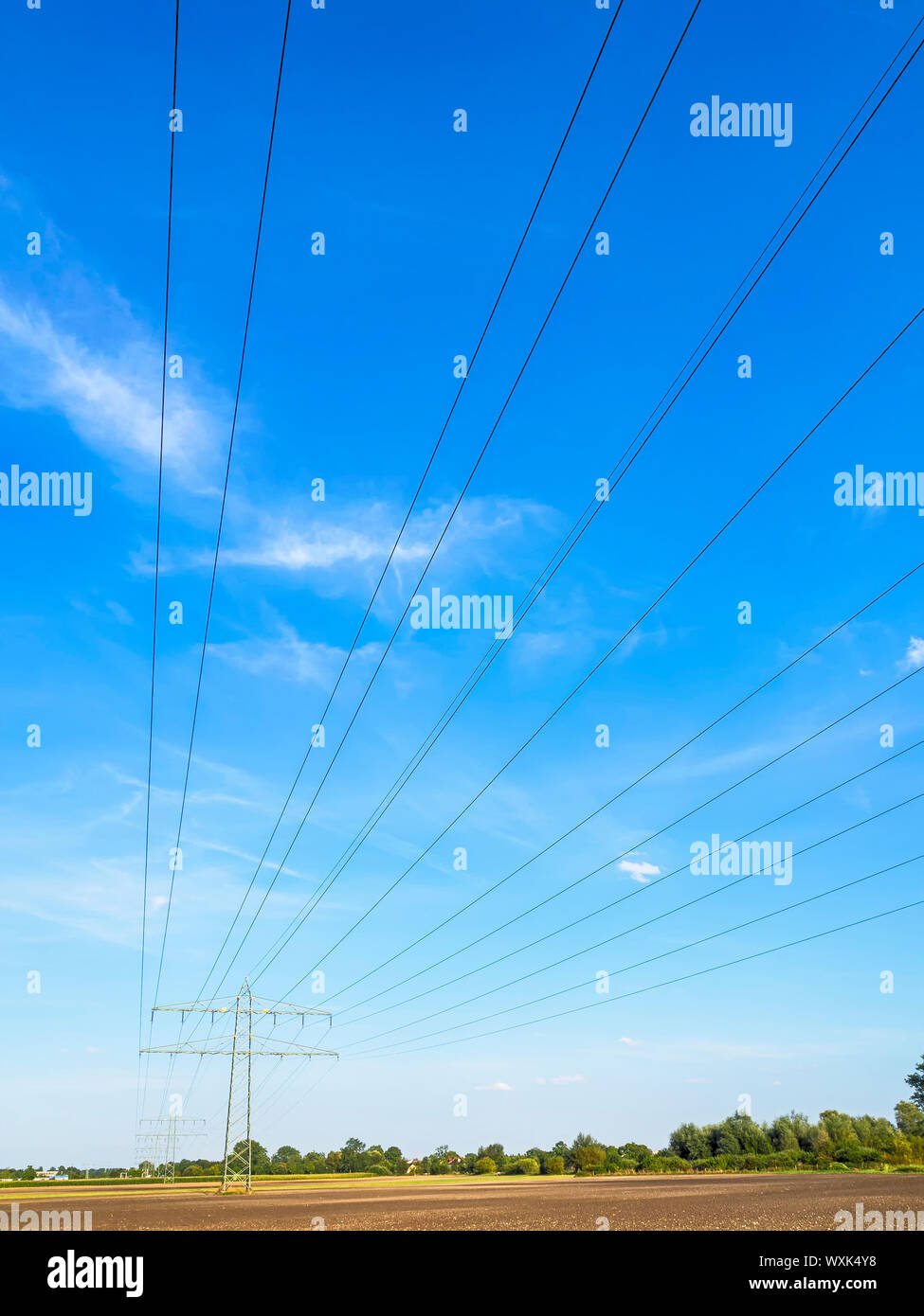 Netzkabel und Strommast in einem Feld unter einem blauen Himmel mit weißen Wolken Stockfoto