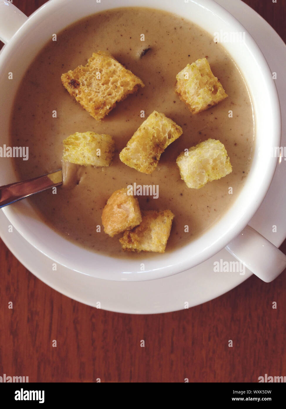 Cremige Pilzsuppe Stockfoto