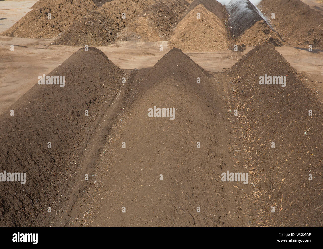 LA COMPOSTIERE ZYMOVERT DE LIMOURS Stockfoto