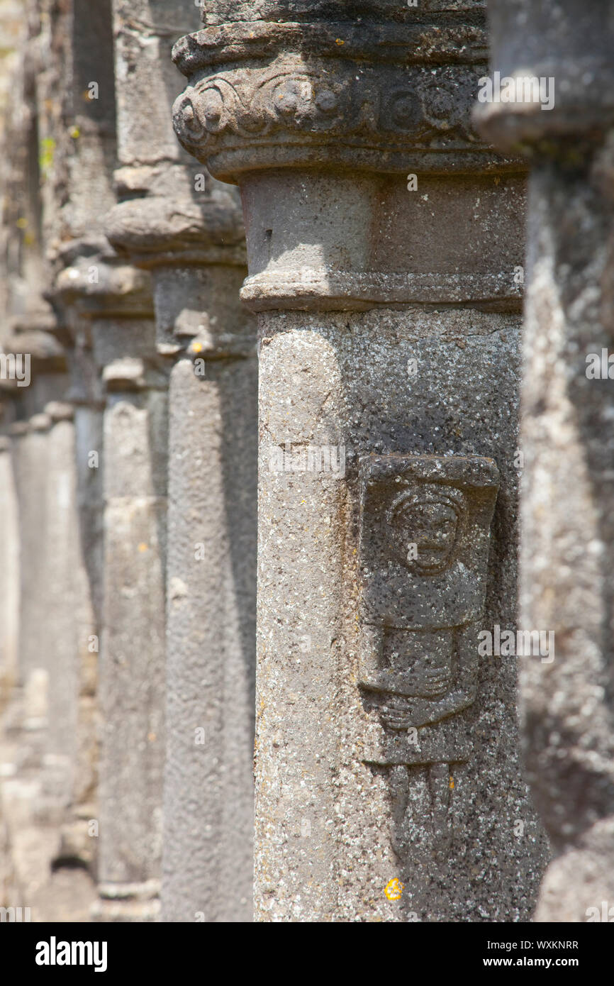 Abadía de Jerpoint, Thomastown, Condado de Kilkenny, Irlanda Stockfoto