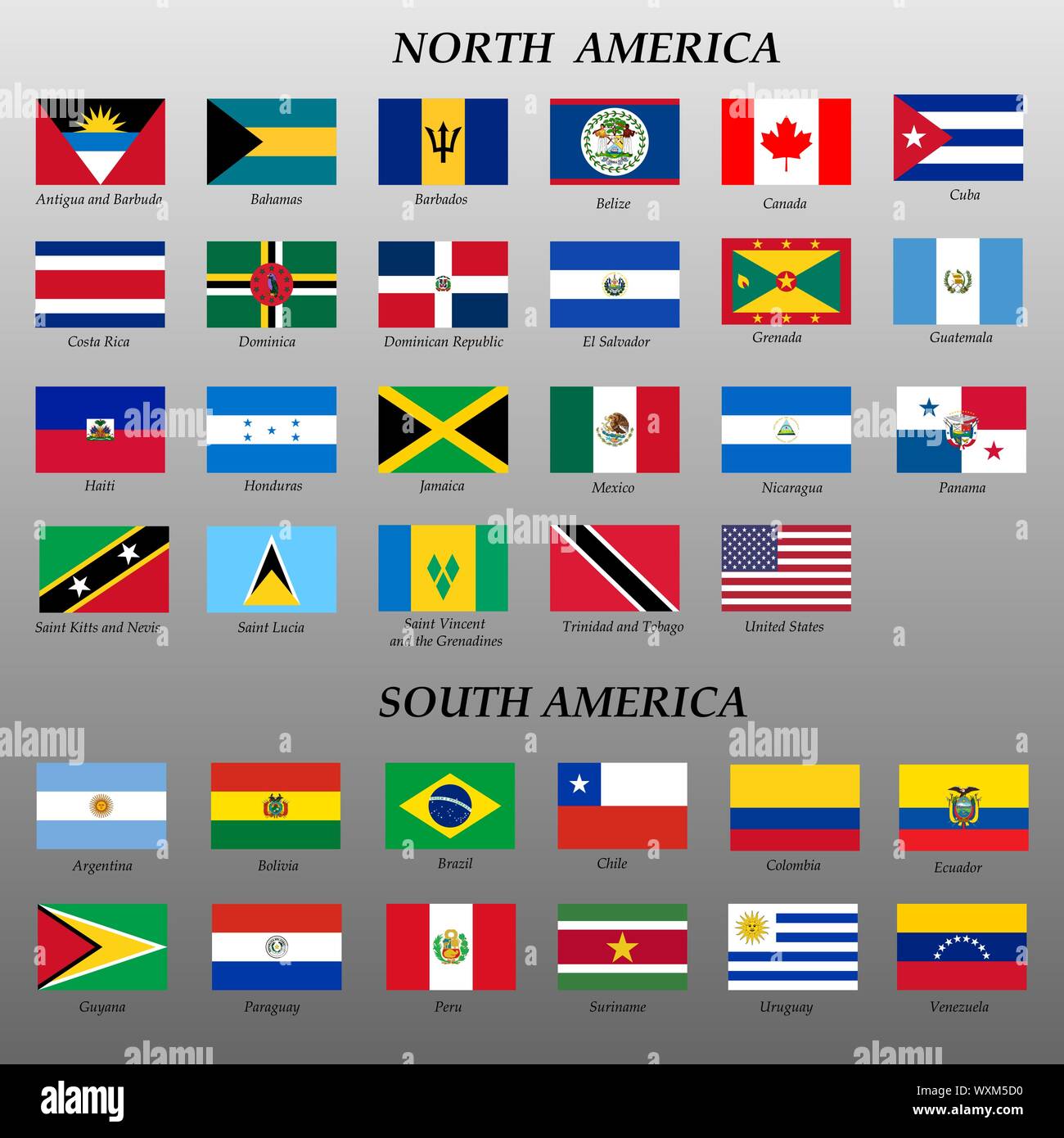 Satz von Flags Amerika der Vector Illustration Stock Vektor
