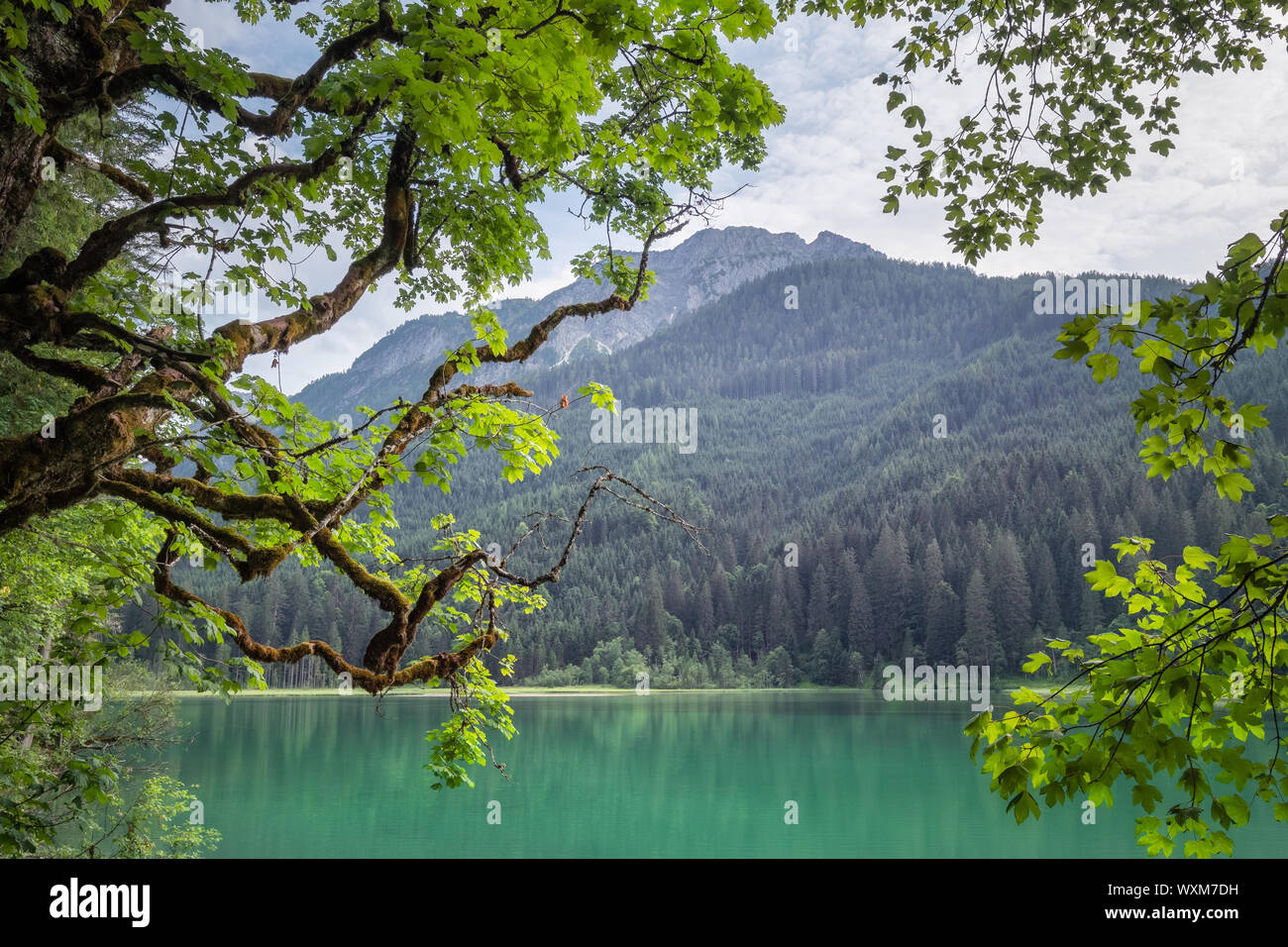 Malerische Berglandschaft mit Türkis alp See an sonnigen und hellen Sommertag in Österreich Alpen Stockfoto