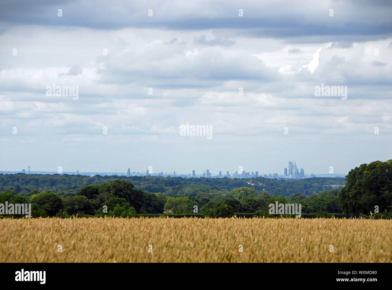 London von der North Downs in Reigate, Surrey. Skyline von London mit Feldern. London ist von einem grünen Gürtel von Wäldern und Feldern umgeben. Blick auf London. Stockfoto