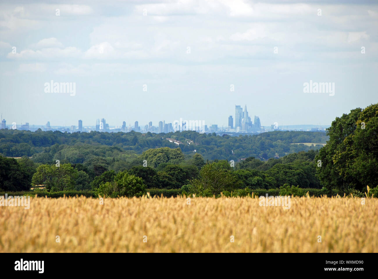 London von der North Downs in Reigate, Surrey. Skyline von London mit Feldern. London ist von einem grünen Gürtel von Wäldern und Feldern umgeben. Blick auf London. Stockfoto
