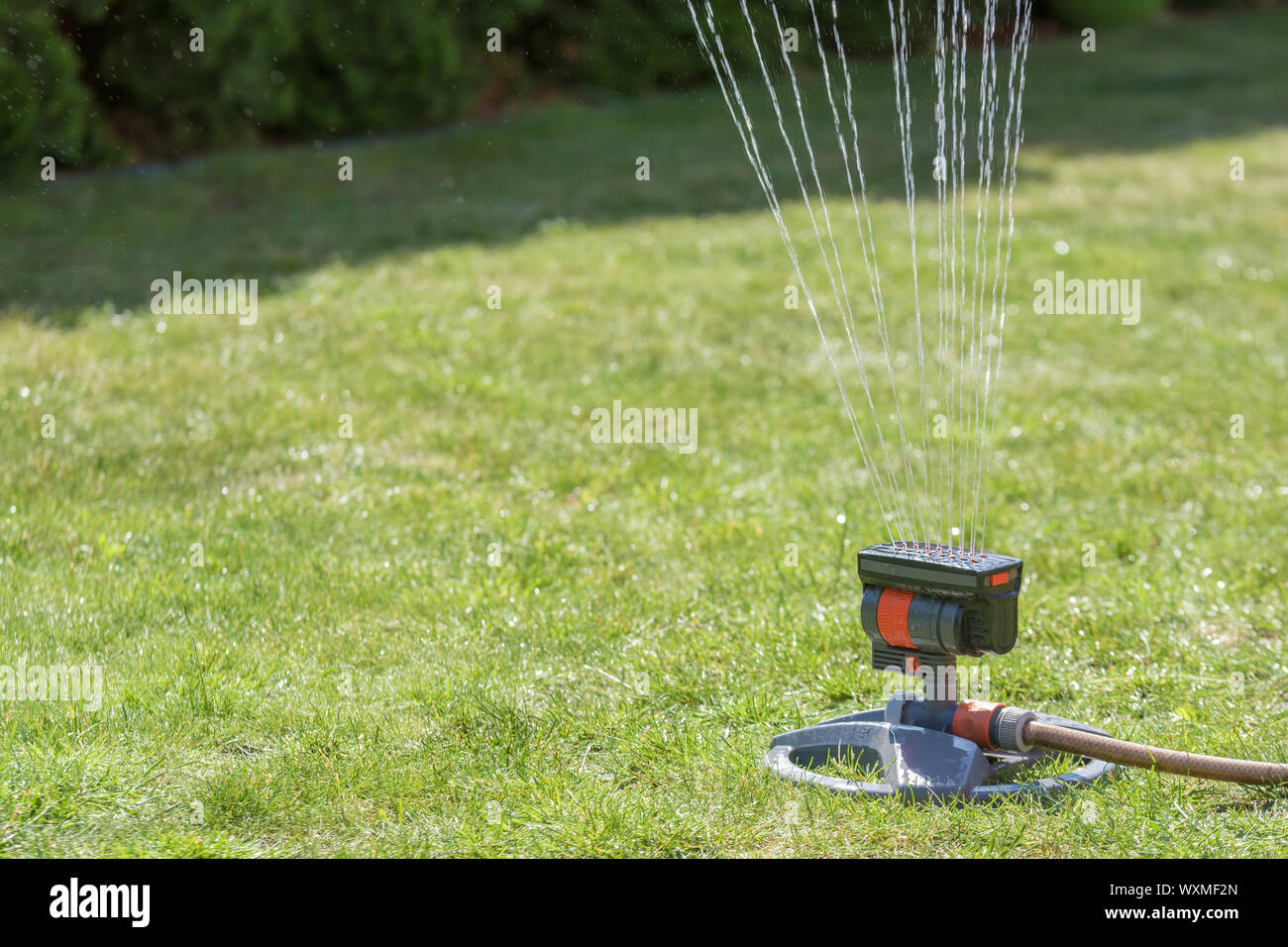 Die Bewässerung des Rasens mit einem verstellbaren lawn Sprinkler Stockfoto