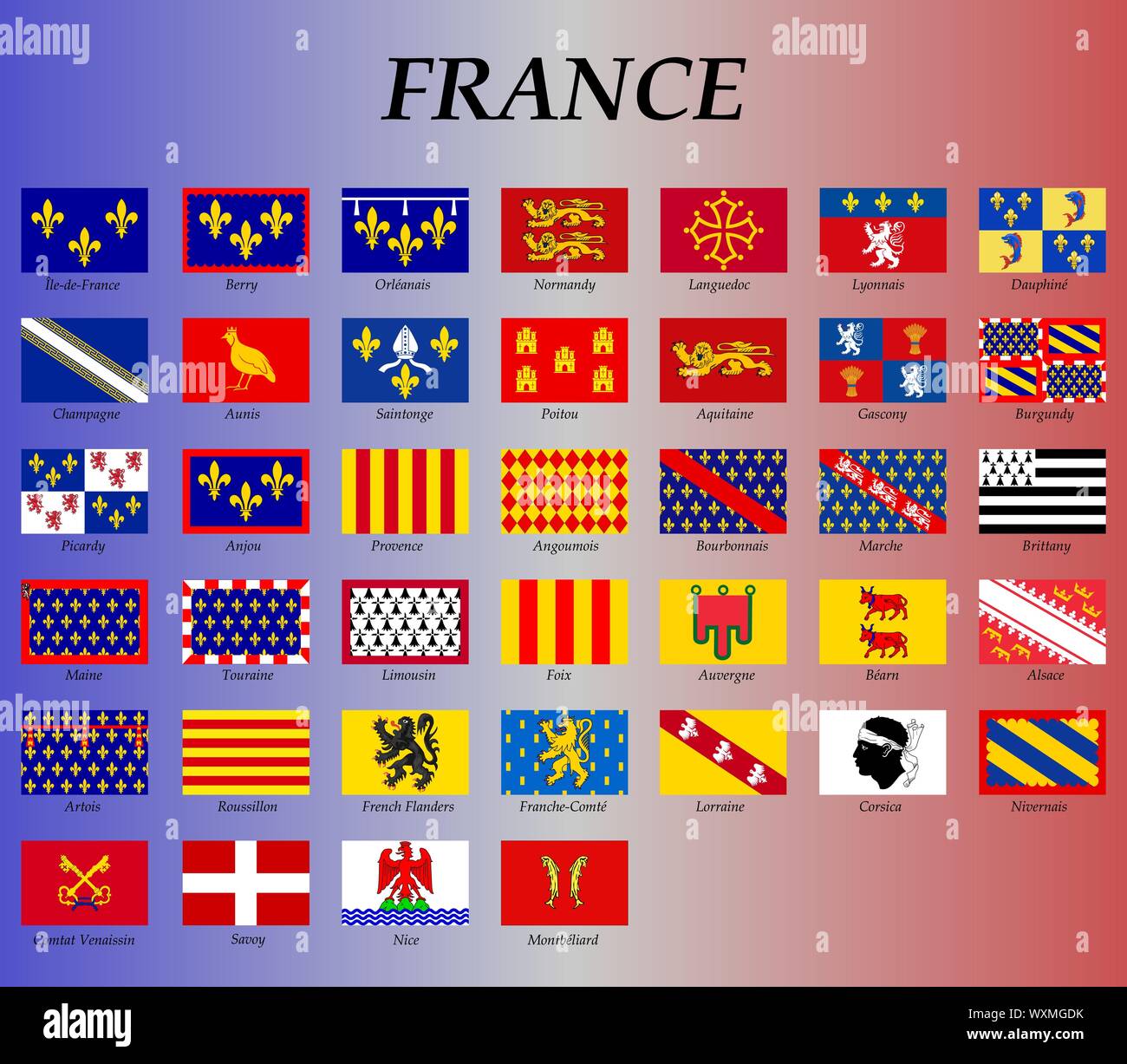 Alle Flaggen von Frankreich Regionen. Vektorgrafiken Stock Vektor