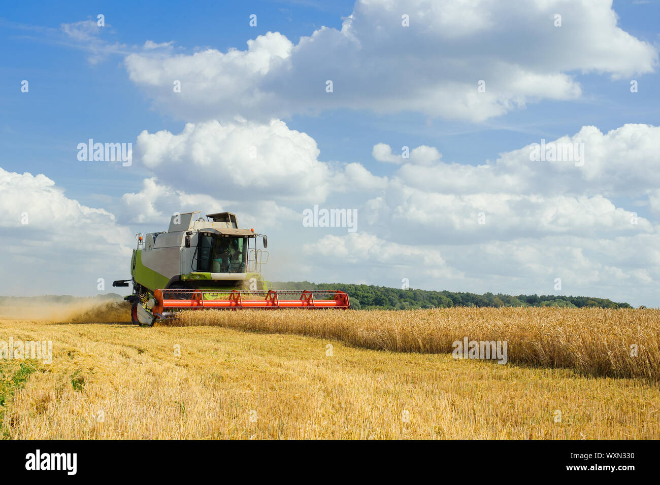 Mähdrescher ernten reifen Weizen. Reife Ähren gold Feld auf den Sonnenuntergang bewölkt orange Himmel Hintergrund. . Konzept für eine reiche Ernte. Landwirtschaft im Stockfoto