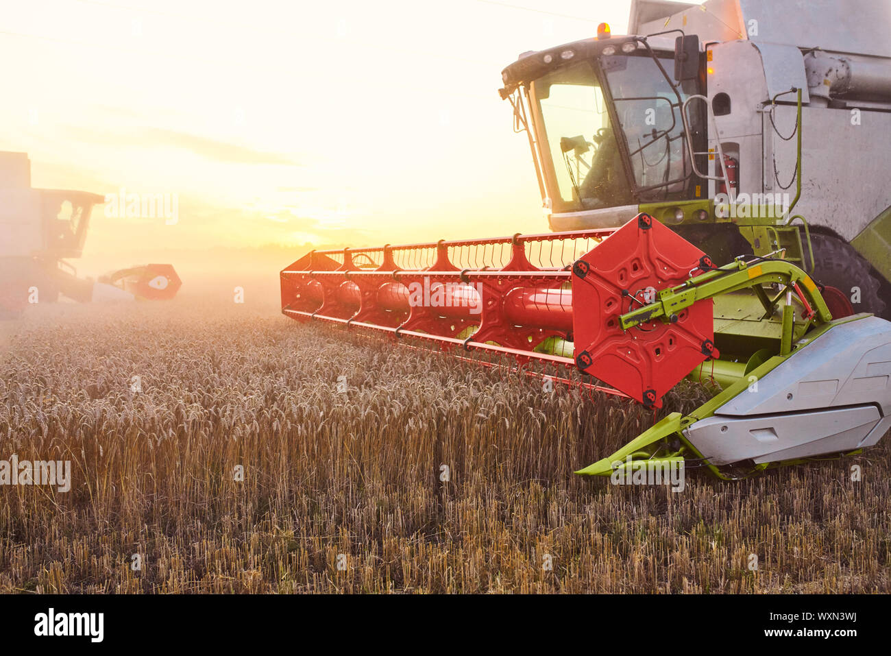 Mähdrescher ernten reifen Weizen. Reife Ähren gold Feld auf den Sonnenuntergang bewölkt orange Himmel Hintergrund. . Konzept für eine reiche Ernte. Landwirtschaft im Stockfoto