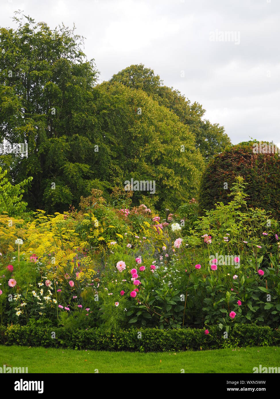 Chenies Manor Garden Sommer pflanze Grenze mit rosa, weiß und grün Laub. Ein abgeschnittenes "Bush behält sich das rosa Dahlien und Kosmos. Stockfoto