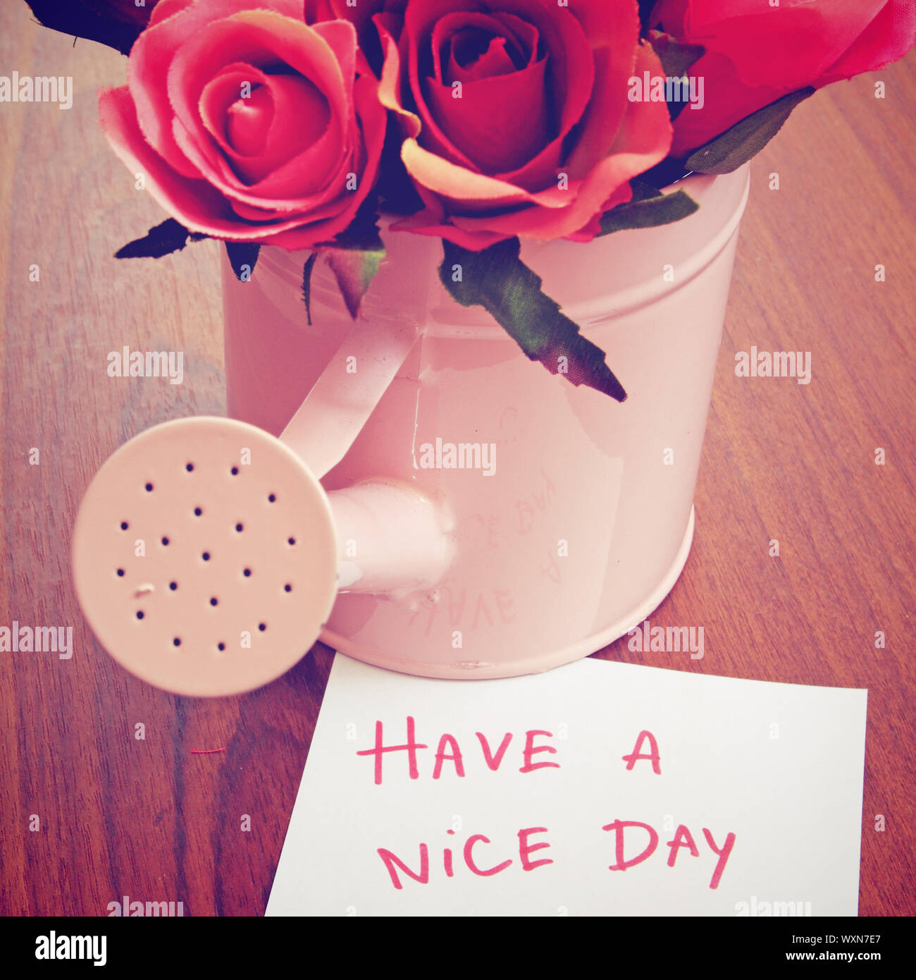 Die Meldung 'Ein schöner Tag' mit Rosen in Gießkanne Stockfoto