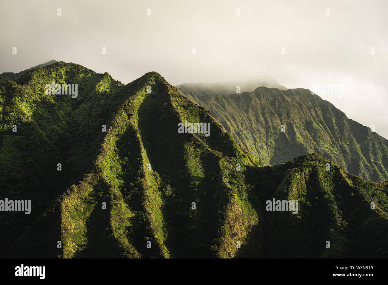 Erste Sonnenstrahlen leuchten die schöne und robuste grünen Berge von Oahu. Stockfoto