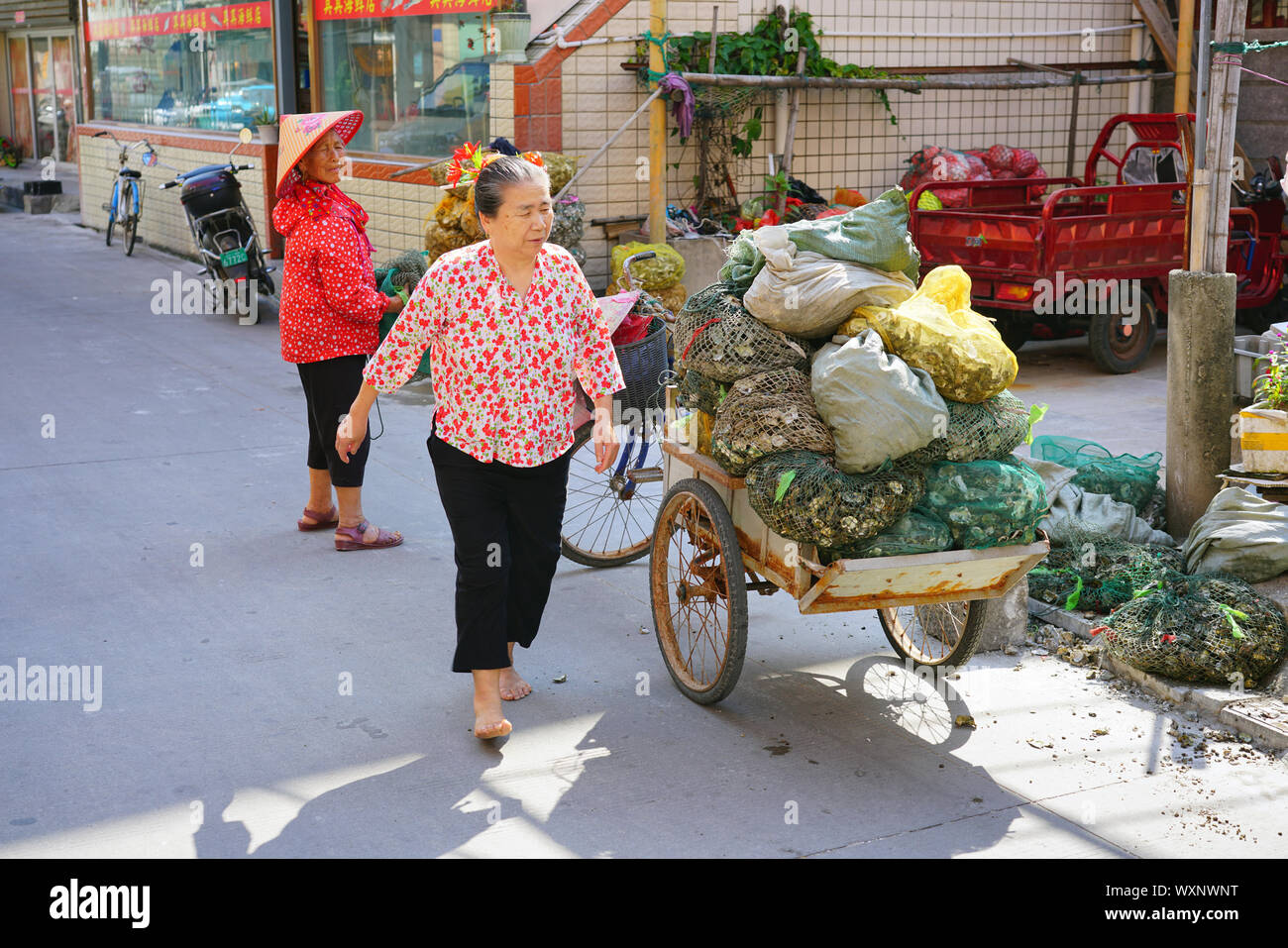 QUANZHOU, CHINA - 15 JUN 2019 - Ansicht einer Mazu Fischerin in bunte traditionelle Kleidung mit Taschen der Austern in der Schale in Xunpu Dorf, Quanzhou Stockfoto