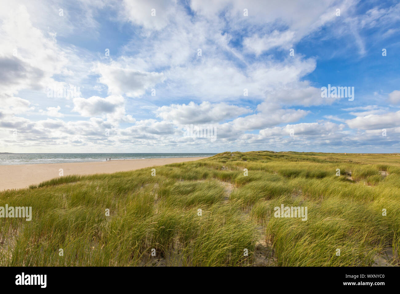 Strand und Dünen Landschaft an der Nordsee Insel Rømø, Dänemark Stockfoto