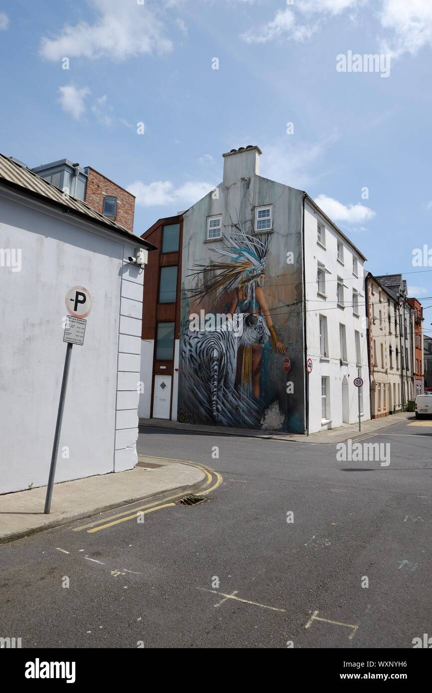 Street Art Von Krieger In Bunte Kopfbedeckung Mit Einem Weissen Tiger Auf Wand In Waterford Irland Stockfotografie Alamy
