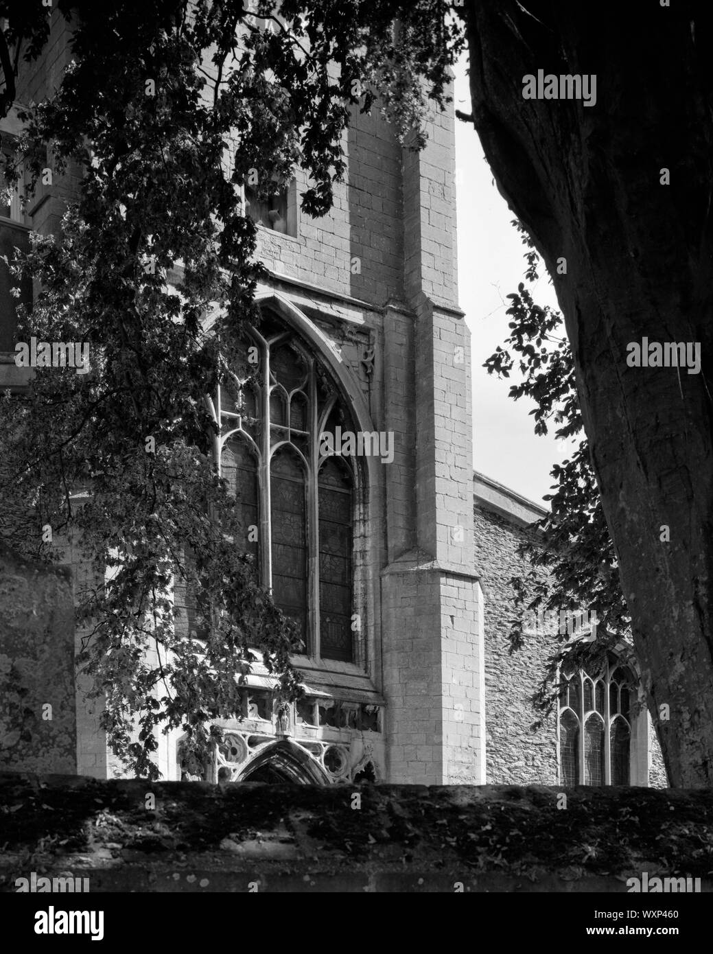 Alle Heiligen Pfarrkirche St Ives Cambridgeshire England Stockfoto