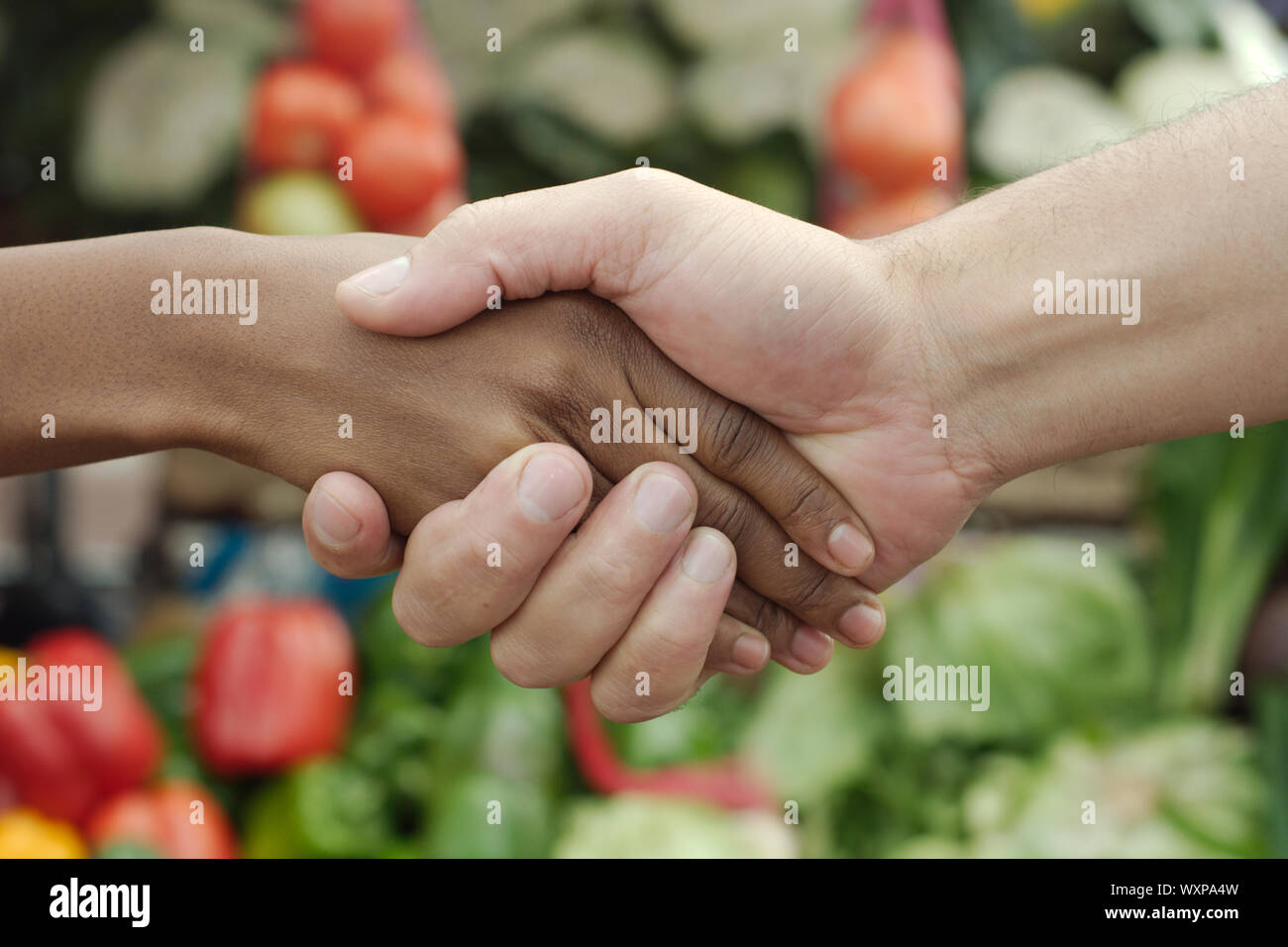 Afrikanische oder schwarze Amerikanerin Handshake traditioneller Markt Angebot in der Gemeinde Stockfoto
