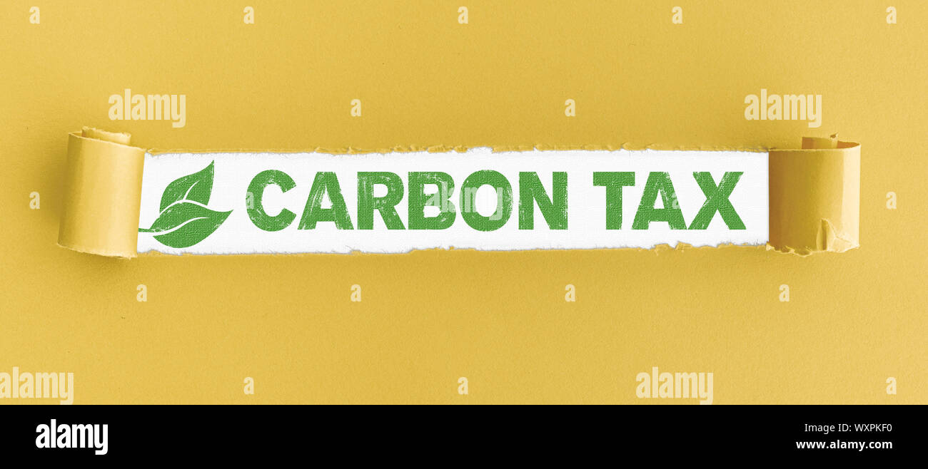 Zerrissenes Papier mit Text CO2-Steuer und grüne Blätter in der Öffnung Stockfoto
